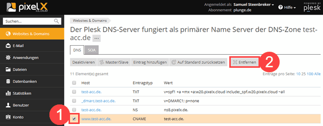 Plesk DNS Zoneneintrag löschen